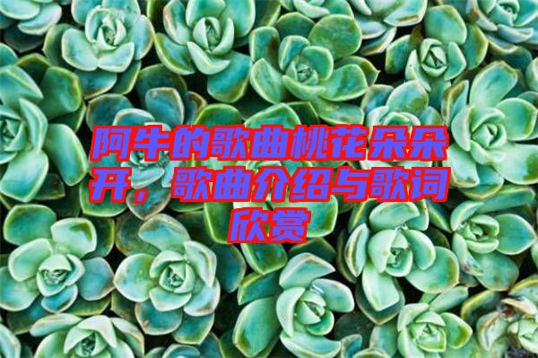 阿牛的歌曲桃花朵朵開，歌曲介紹與歌詞欣賞