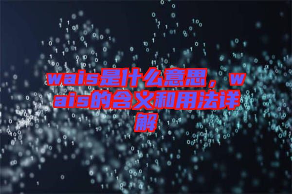 wais是什么意思，wais的含義和用法詳解
