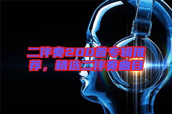 二伴奏200首專輯推薦，精選二伴奏曲目