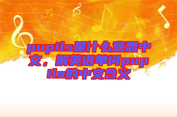 pupils是什么意思中文，解英語單詞pupils的中文含義