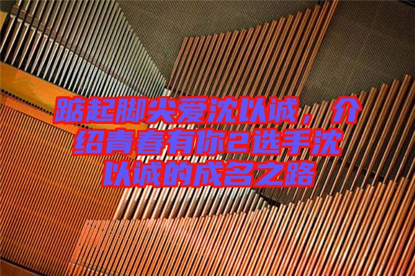 踮起腳尖愛沈以誠(chéng)，介紹青春有你2選手沈以誠(chéng)的成名之路