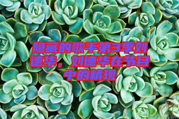 隱藏的歌手第3季劉德華，劉德華在節(jié)目中的精現(xiàn)