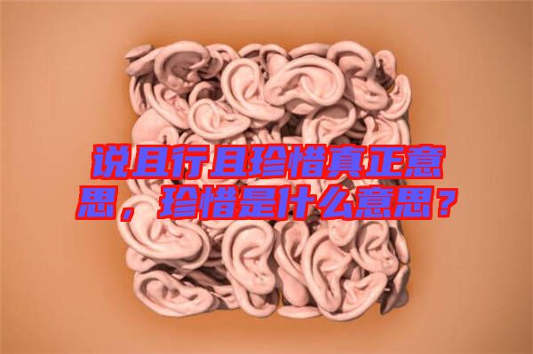 說且行且珍惜真正意思，珍惜是什么意思？