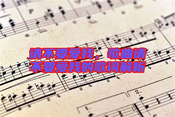 請(qǐng)不要愛我，歌曲請(qǐng)不要愛我的歌詞解析