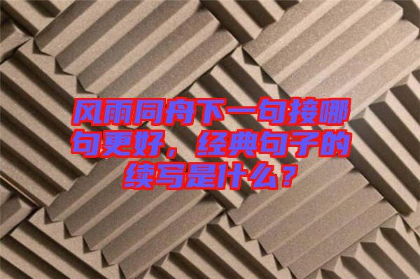 風(fēng)雨同舟下一句接哪句更好，經(jīng)典句子的續(xù)寫是什么？