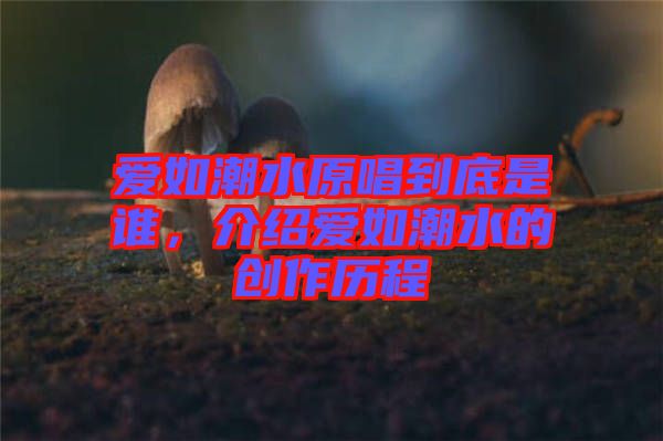 愛如潮水原唱到底是誰，介紹愛如潮水的創(chuàng)作歷程