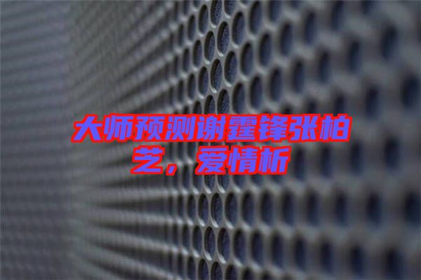 大師預(yù)測謝霆鋒張柏芝，愛情析