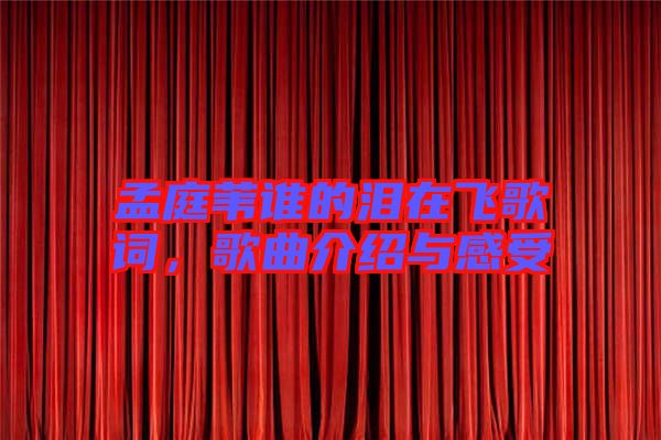 孟庭葦誰的淚在飛歌詞，歌曲介紹與感受