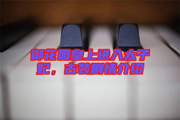 御花園皇上進(jìn)入太子妃，古裝劇情介紹