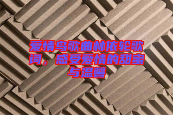 愛情鳥歌曲林依輪歌詞，感受愛情的甜蜜與溫馨