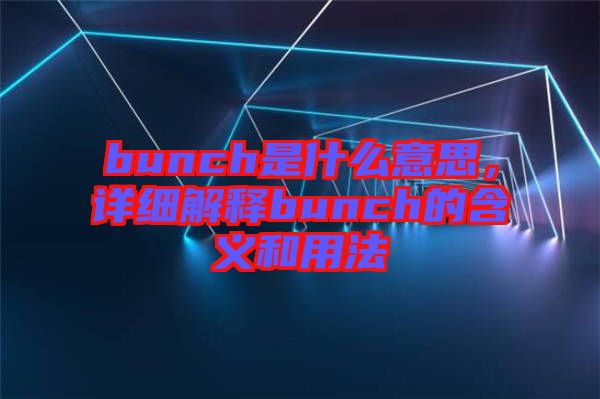 bunch是什么意思，詳細解釋bunch的含義和用法