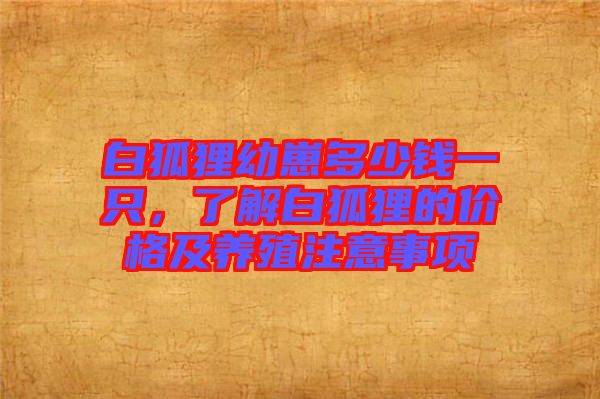 白狐貍幼崽多少錢一只，了解白狐貍的價格及養(yǎng)殖注意事項