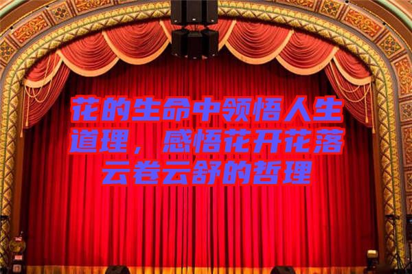 花的生命中領(lǐng)悟人生道理，感悟花開花落云卷云舒的哲理