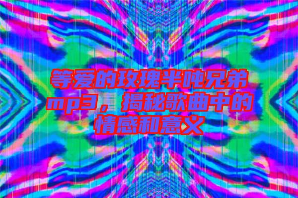 等愛(ài)的玫瑰半噸兄弟mp3，揭秘歌曲中的情感和意義