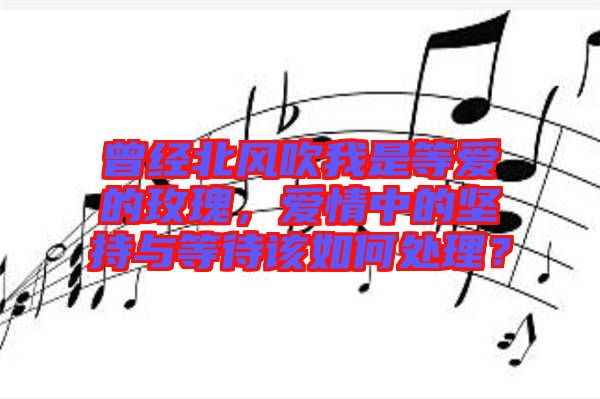 曾經(jīng)北風(fēng)吹我是等愛的玫瑰，愛情中的堅持與等待該如何處理？
