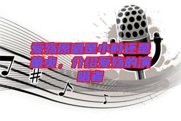 愛殤原唱是小時還是董貞，介紹愛殤的演唱者