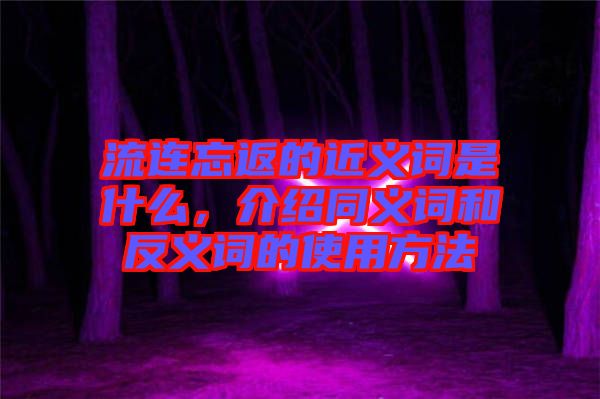 流連忘返的近義詞是什么，介紹同義詞和反義詞的使用方法