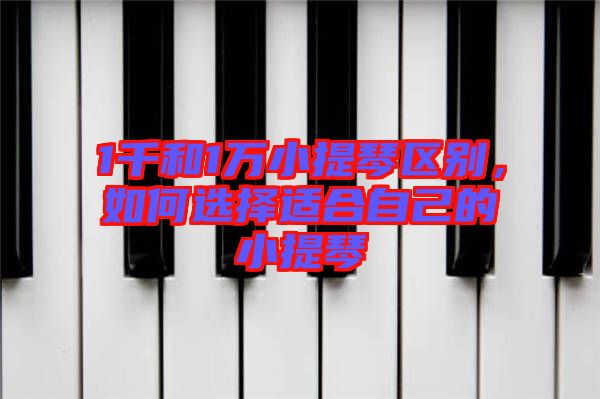 1千和1萬小提琴區(qū)別，如何選擇適合自己的小提琴