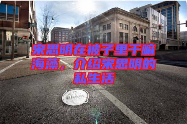 宋思明在被子里干嘛海藻，介紹宋思明的私生活