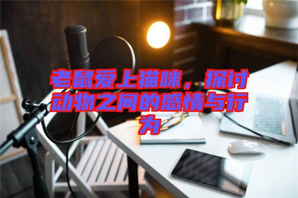 老鼠愛上貓咪，探討動物之間的感情與行為