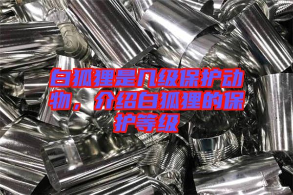 白狐貍是幾級(jí)保護(hù)動(dòng)物，介紹白狐貍的保護(hù)等級(jí)