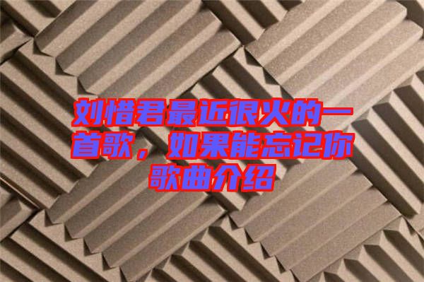 劉惜君最近很火的一首歌，如果能忘記你歌曲介紹