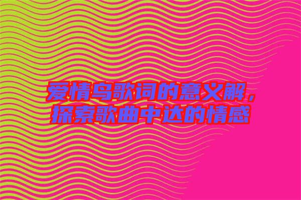 愛情鳥歌詞的意義解，探索歌曲中達(dá)的情感
