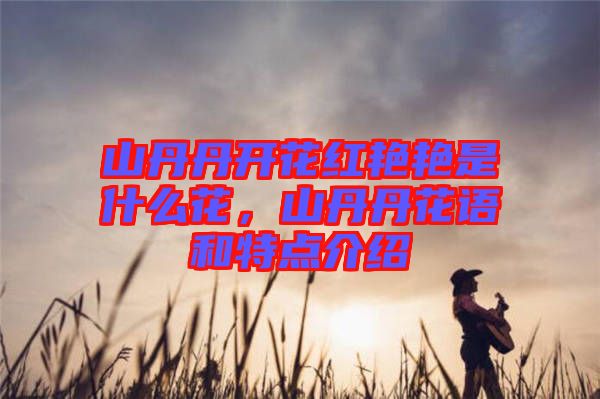 山丹丹開花紅艷艷是什么花，山丹丹花語和特點介紹