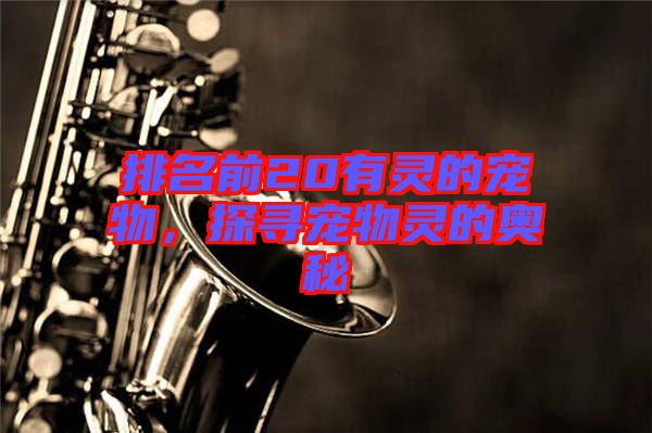 排名前20有靈的寵物，探尋寵物靈的奧秘