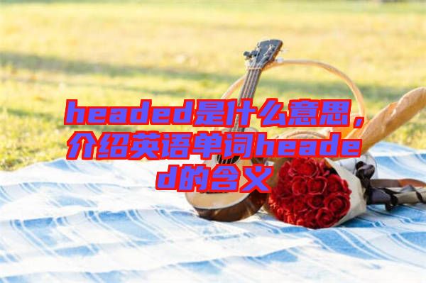 headed是什么意思，介紹英語(yǔ)單詞headed的含義