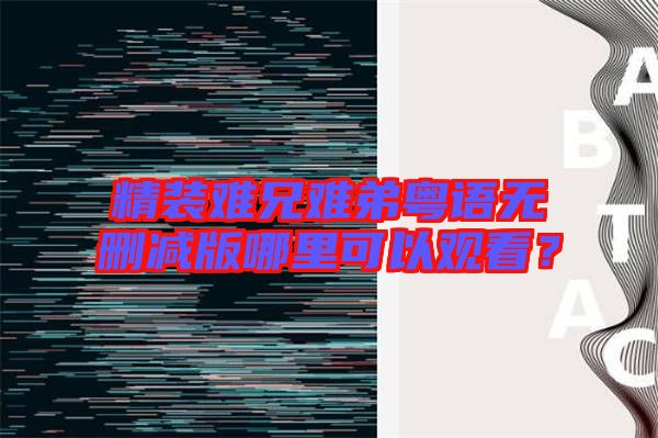 精裝難兄難弟粵語無刪減版哪里可以觀看？