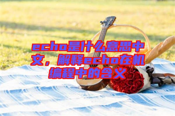 echo是什么意思中文，解釋echo在機編程中的含義
