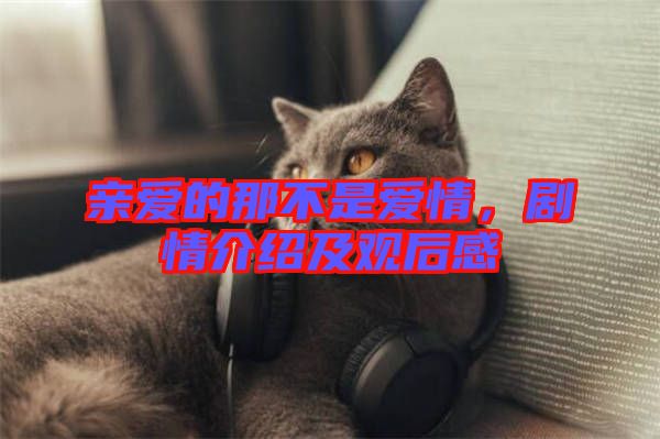 親愛的那不是愛情，劇情介紹及觀后感