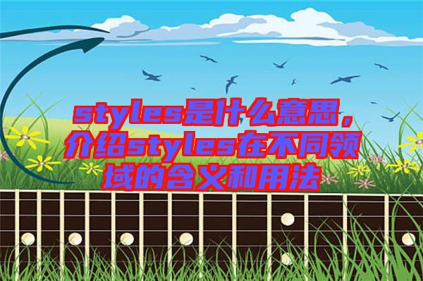 styles是什么意思，介紹styles在不同領(lǐng)域的含義和用法