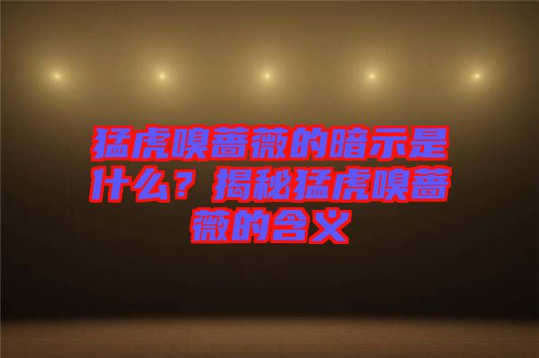 猛虎嗅薔薇的暗示是什么？揭秘猛虎嗅薔薇的含義
