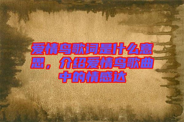 愛情鳥歌詞是什么意思，介紹愛情鳥歌曲中的情感達(dá)