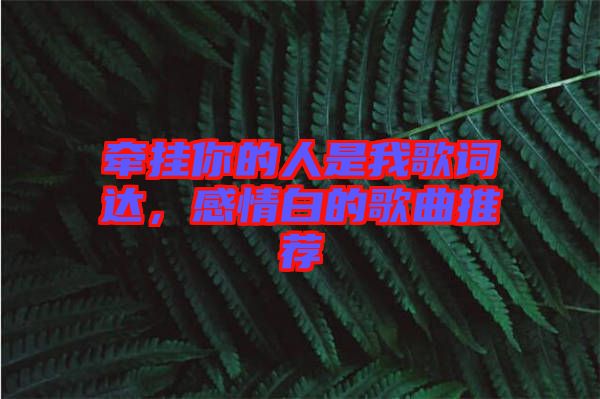 牽掛你的人是我歌詞達(dá)，感情白的歌曲推薦