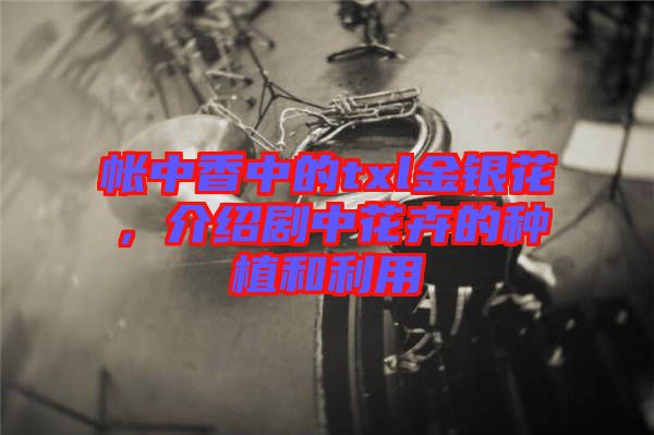 帳中香中的txl金銀花，介紹劇中花卉的種植和利用