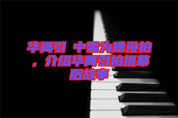 華胥引柸中雪為啥沒拍，介紹華胥引拍攝幕后故事