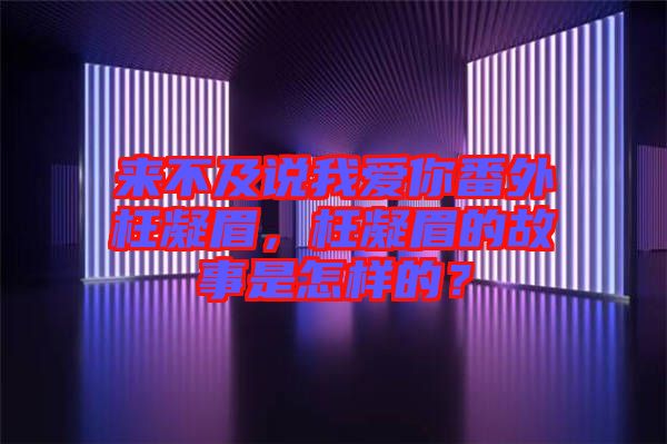 來不及說我愛你番外枉凝眉，枉凝眉的故事是怎樣的？