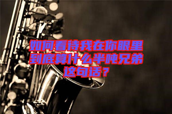 如何看待我在你眼里到底算什么半噸兄弟這句話？