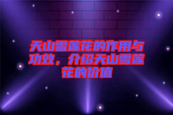 天山雪蓮花的作用與功效，介紹天山雪蓮花的價(jià)值