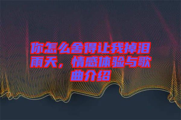 你怎么舍得讓我掉淚雨天，情感體驗與歌曲介紹