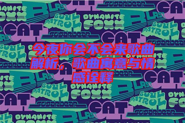 今夜你會(huì)不會(huì)來歌曲解析，歌曲寓意與情感詮釋