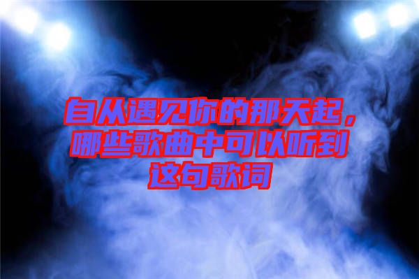自從遇見你的那天起，哪些歌曲中可以聽到這句歌詞