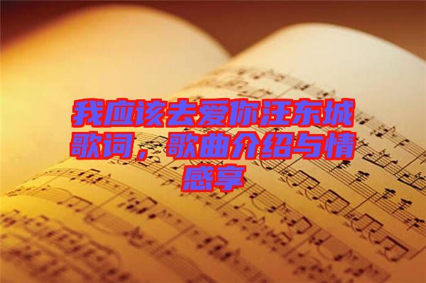 我應(yīng)該去愛你汪東城歌詞，歌曲介紹與情感享