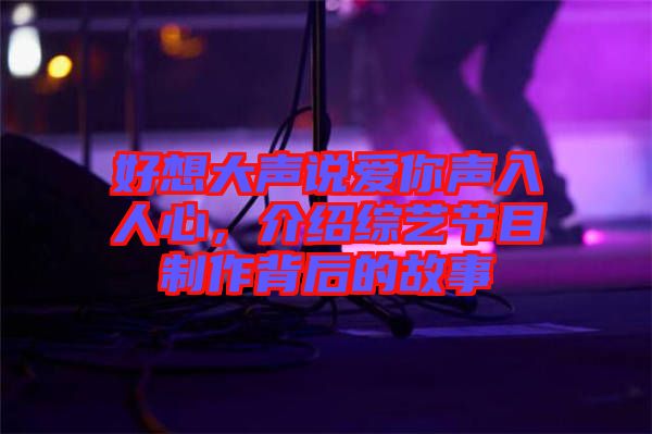 好想大聲說愛你聲入人心，介紹綜藝節(jié)目制作背后的故事