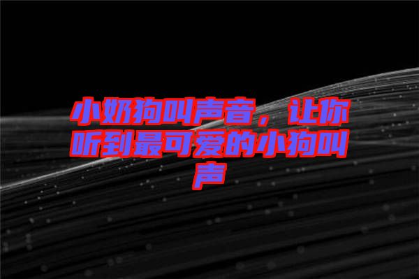 小奶狗叫聲音，讓你聽到最可愛的小狗叫聲