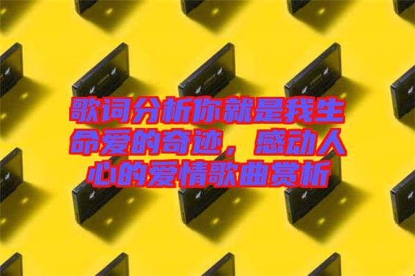 歌詞分析你就是我生命愛的奇跡，感動人心的愛情歌曲賞析
