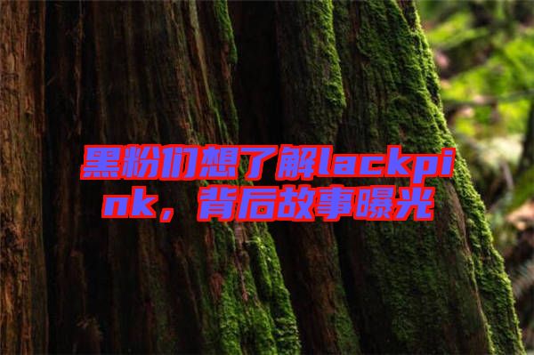黑粉們想了解lackpink，背后故事曝光
